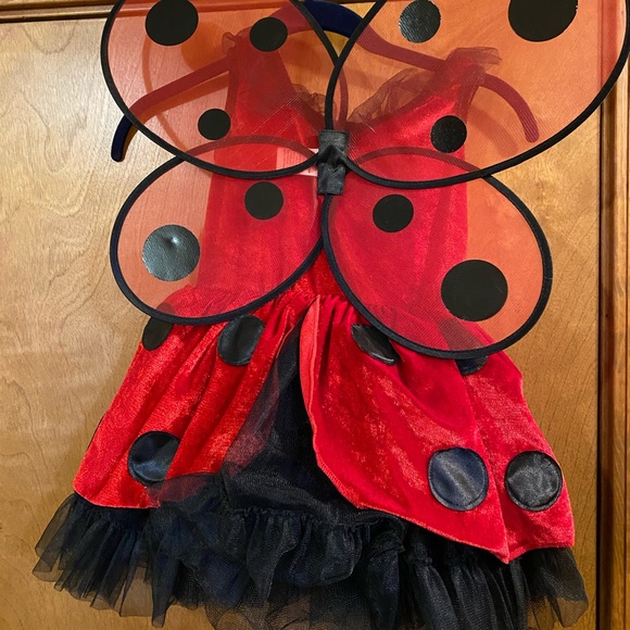 SOLD.            Halloween costume little girl 5T - Picture 2 of 3